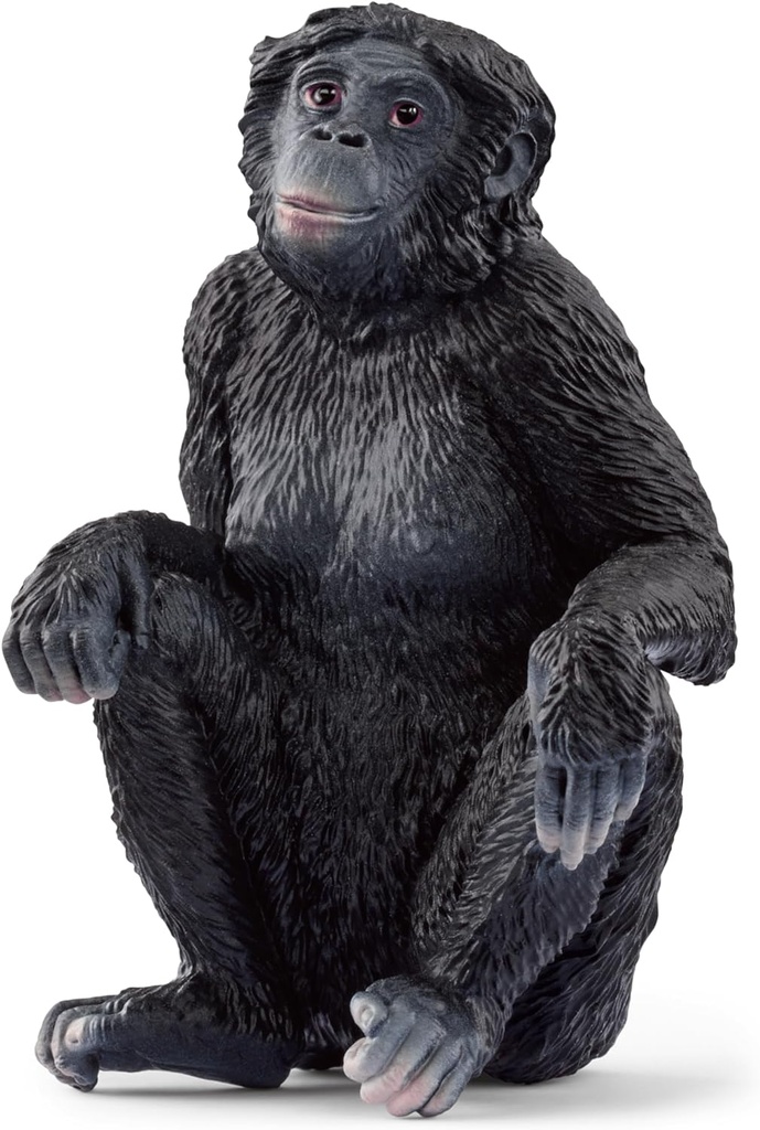 BONOBO HEMBRA