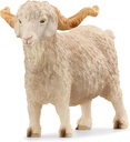 CABRA DE ANGORA