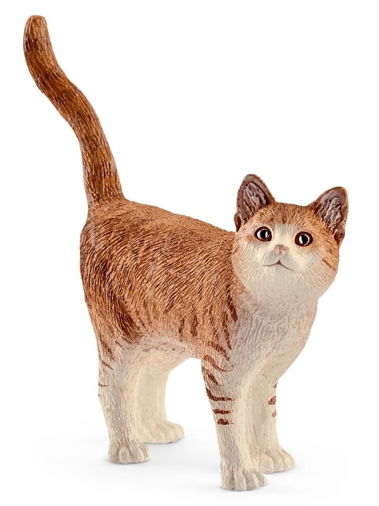 GATO