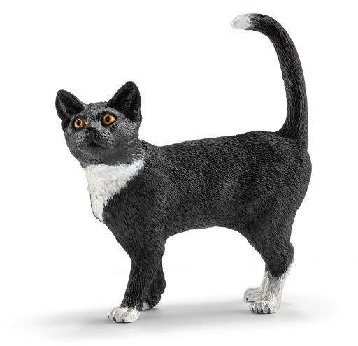 GATO DE PIE