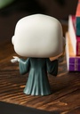 HARRY POTTER-POP LORD VOLDEM.
