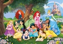 PUZ. 104 PRINCESAS