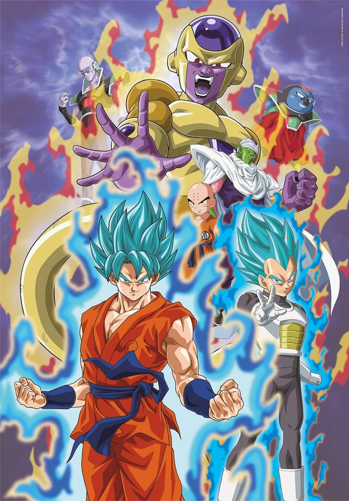 PUZ. 300 SUPER DRAGONBALL