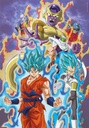PUZ. 300 SUPER DRAGONBALL