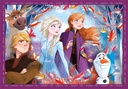 PUZ.4 EN 1 FROZEN