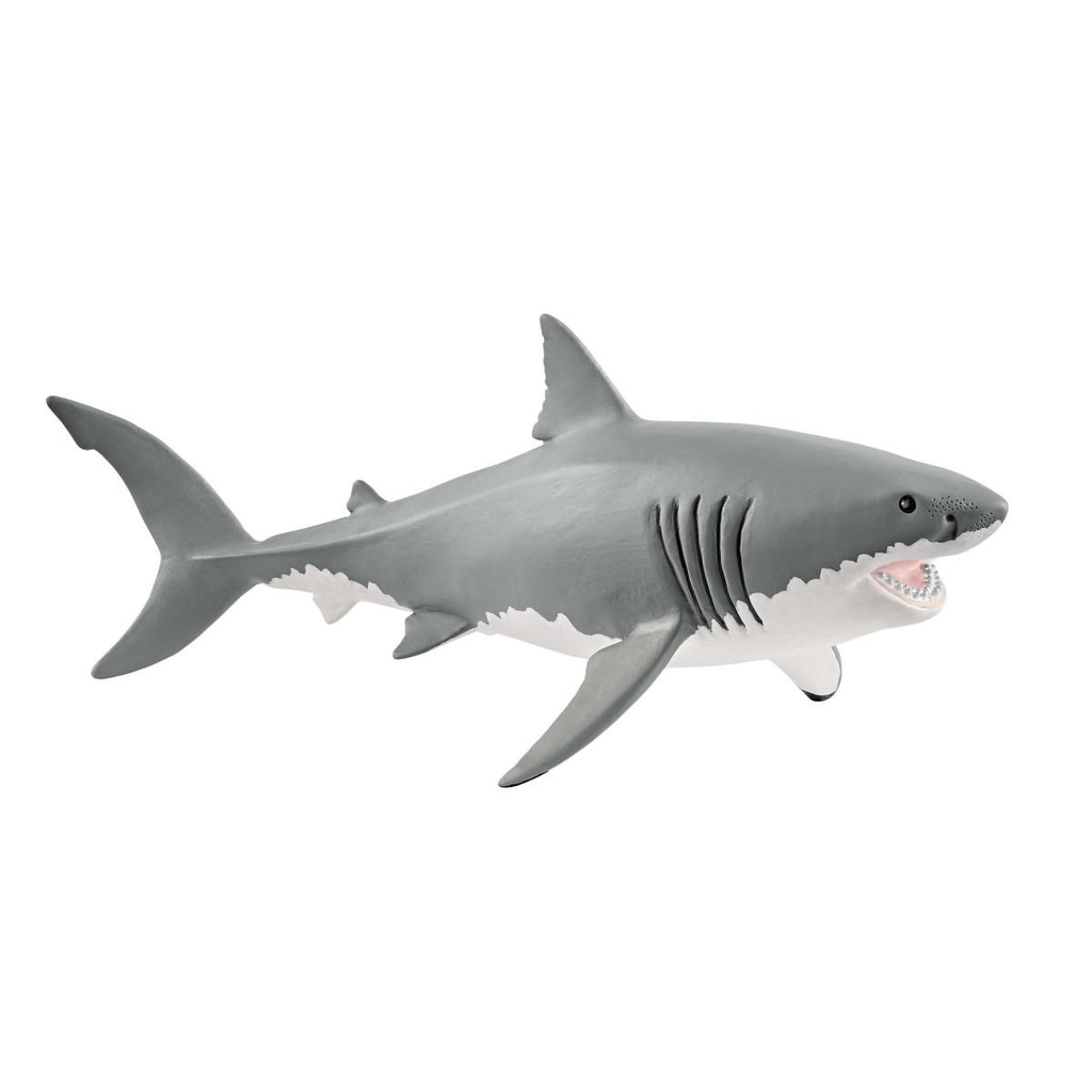 TIBURON BLANCO