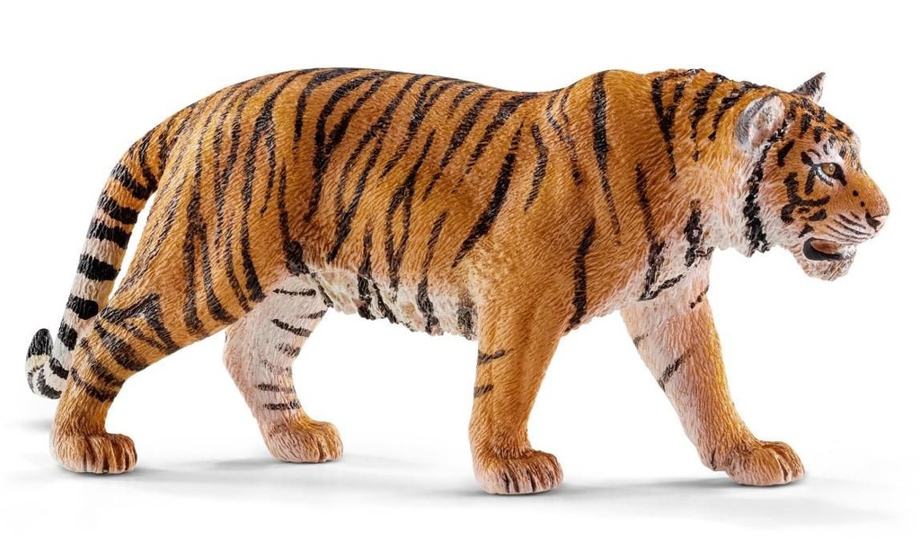 TIGRE
