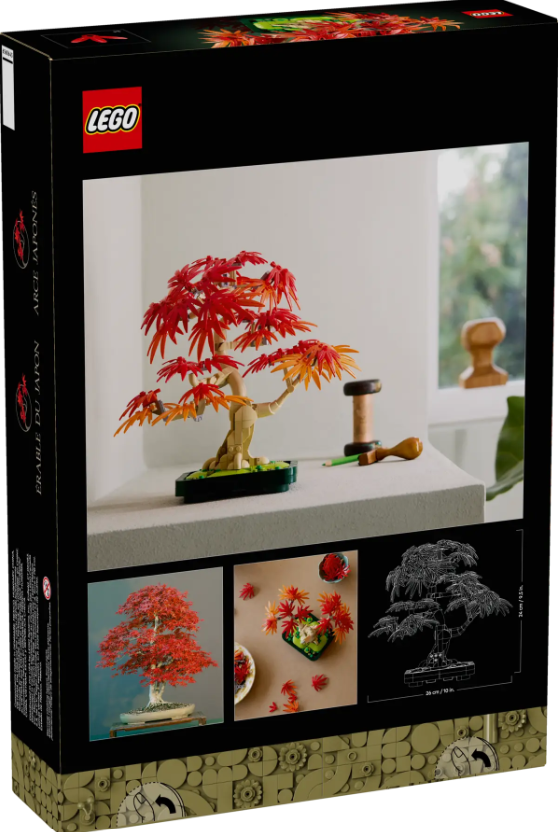 BONSAI ARCE ROJO JAPONES