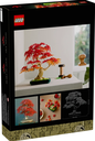 BONSAI ARCE ROJO JAPONES