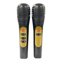 KARAOKE LIGHT PARTY DUO GOLDEN ED.