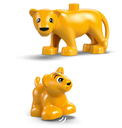 PINGÜINOS Y LEONES