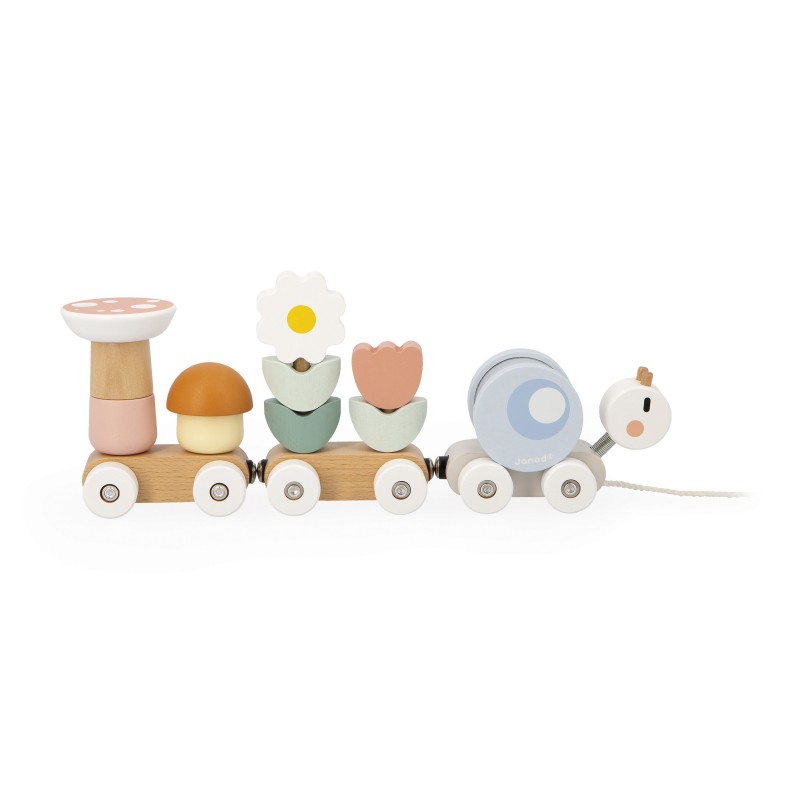 TREN CARACOL