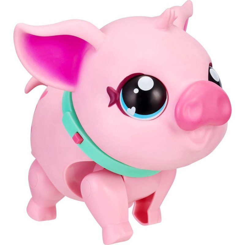 MY LITTLE PIG L.L.P.