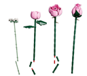 RAMO ROSAS ROSADAS