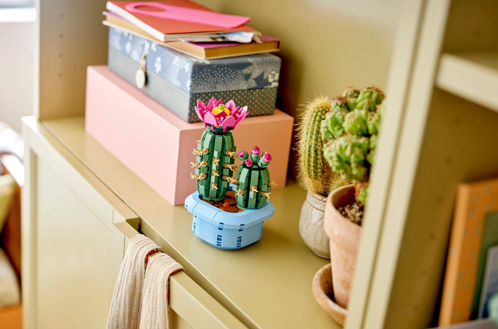 CACTUS EN FLOR