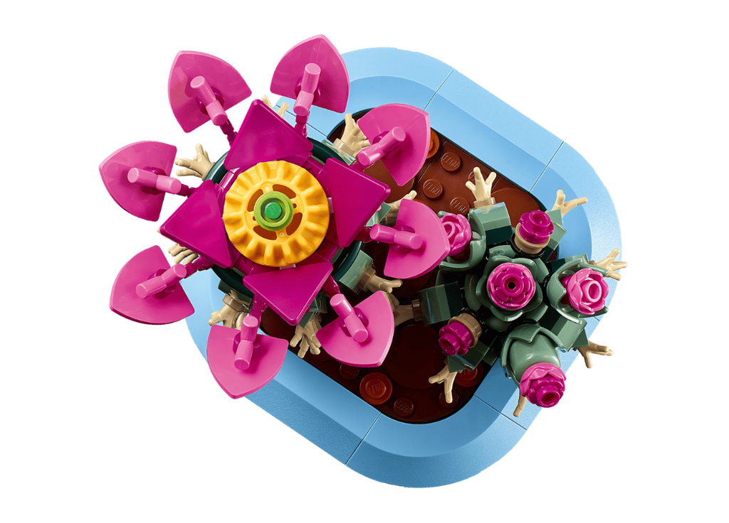 CACTUS EN FLOR