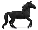 CABALLO LUSITANO SEMENTAL