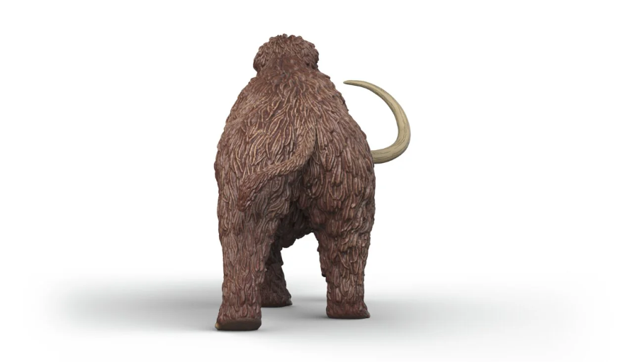 MAMUT