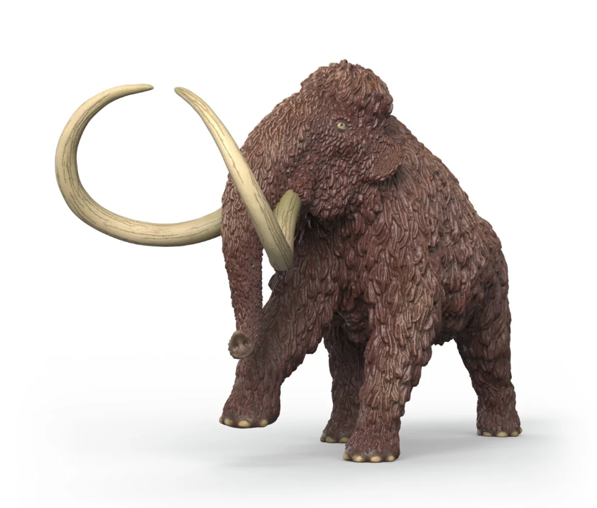 MAMUT