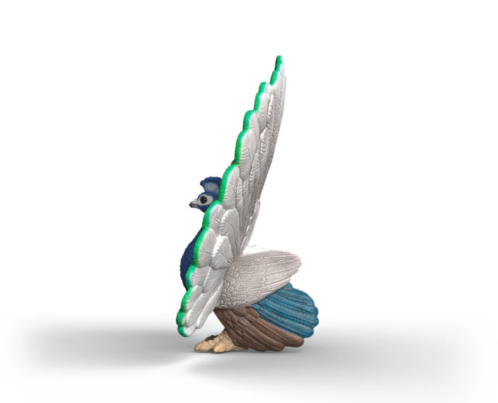 PAVO REAL