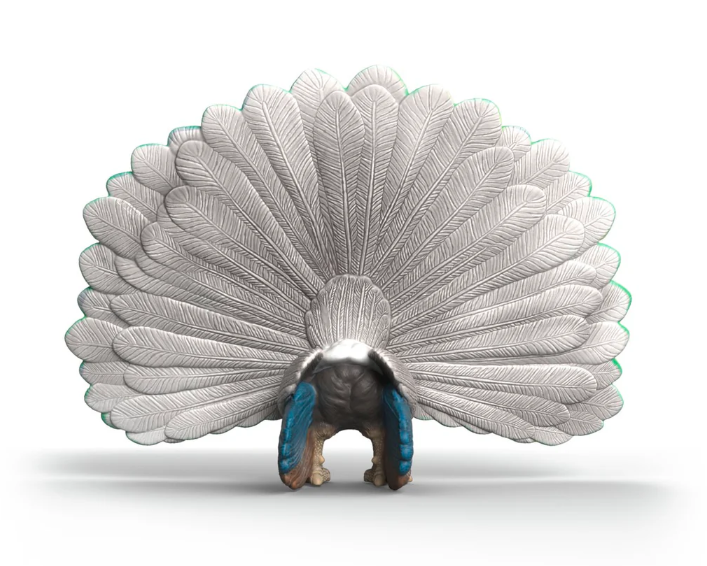 PAVO REAL