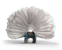 PAVO REAL