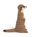 SURICATA