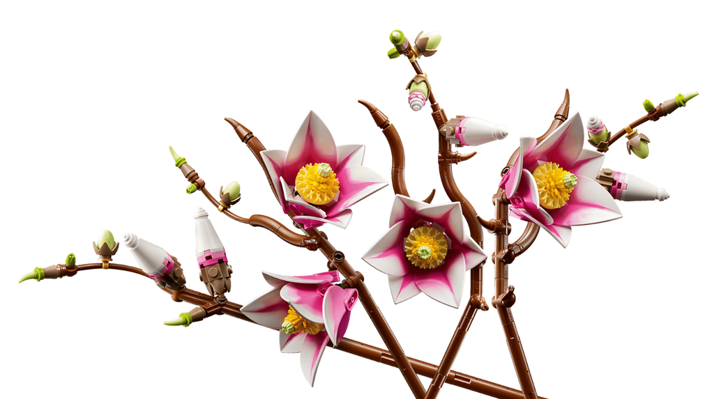 RAMAS DE MAGNOLIA