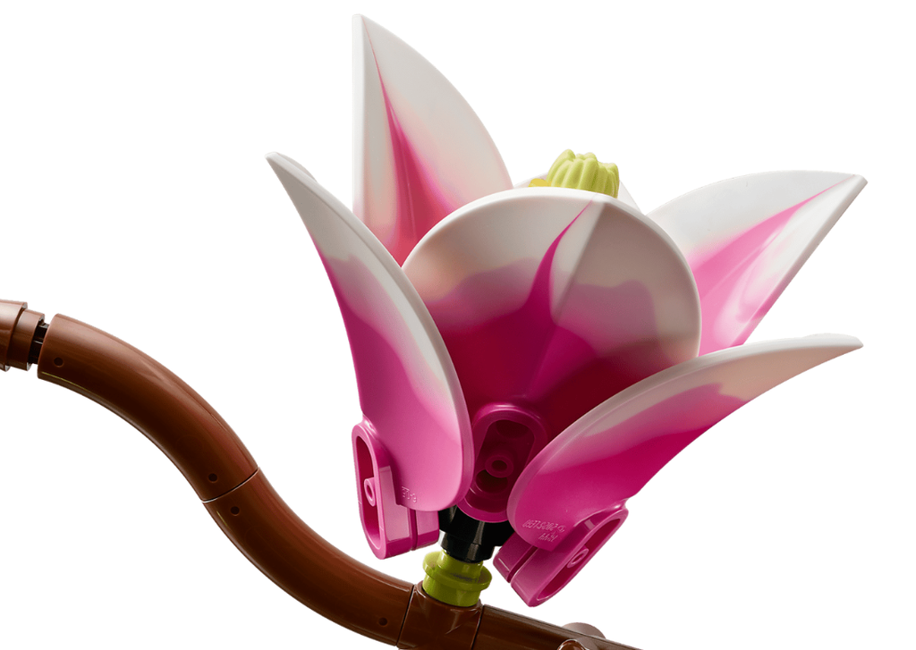 RAMAS DE MAGNOLIA