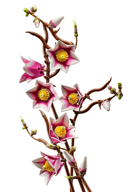 RAMAS DE MAGNOLIA
