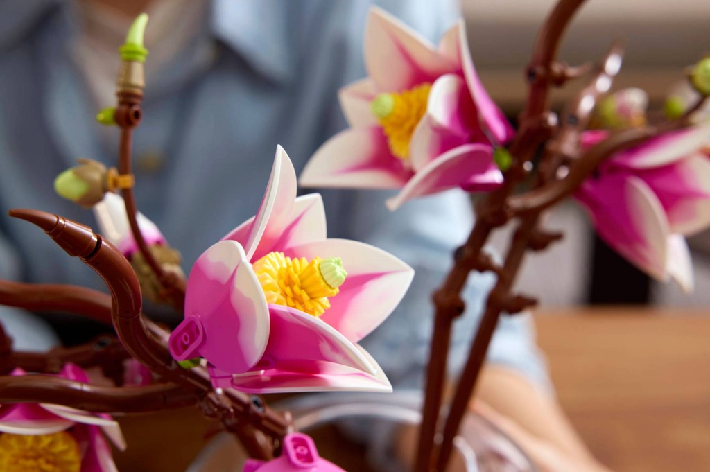 RAMAS DE MAGNOLIA