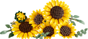 RAMO DE GIRASOLES