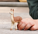 ALPACA