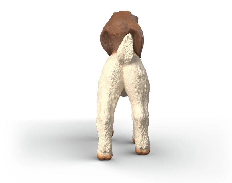 CABRITO BOER