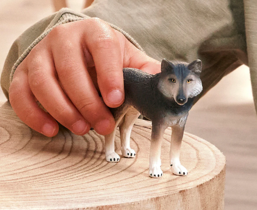 LOBO AMERICANO