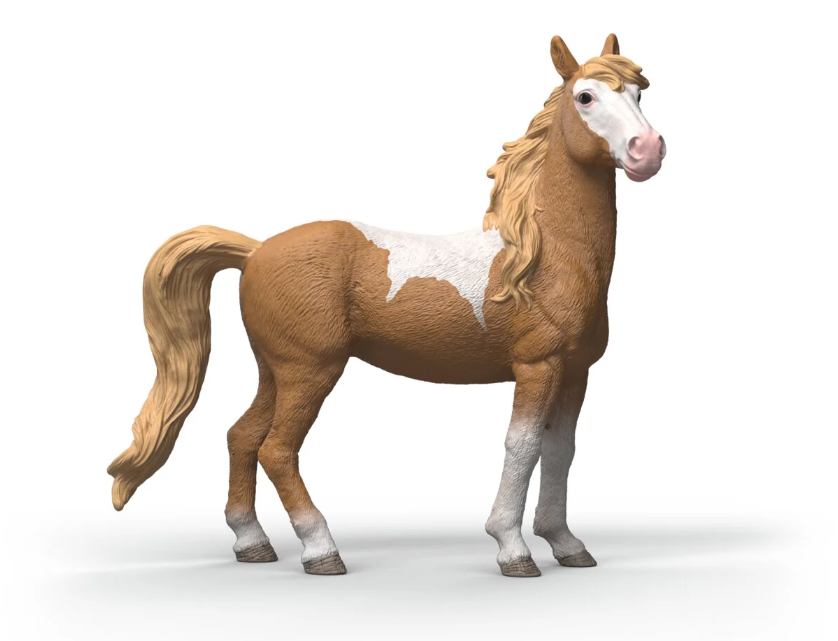 YEGUA MUSTANG