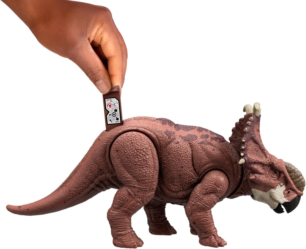 J.W. PACHYRHINOSAURUS