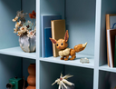 POKEMON-EEVEE