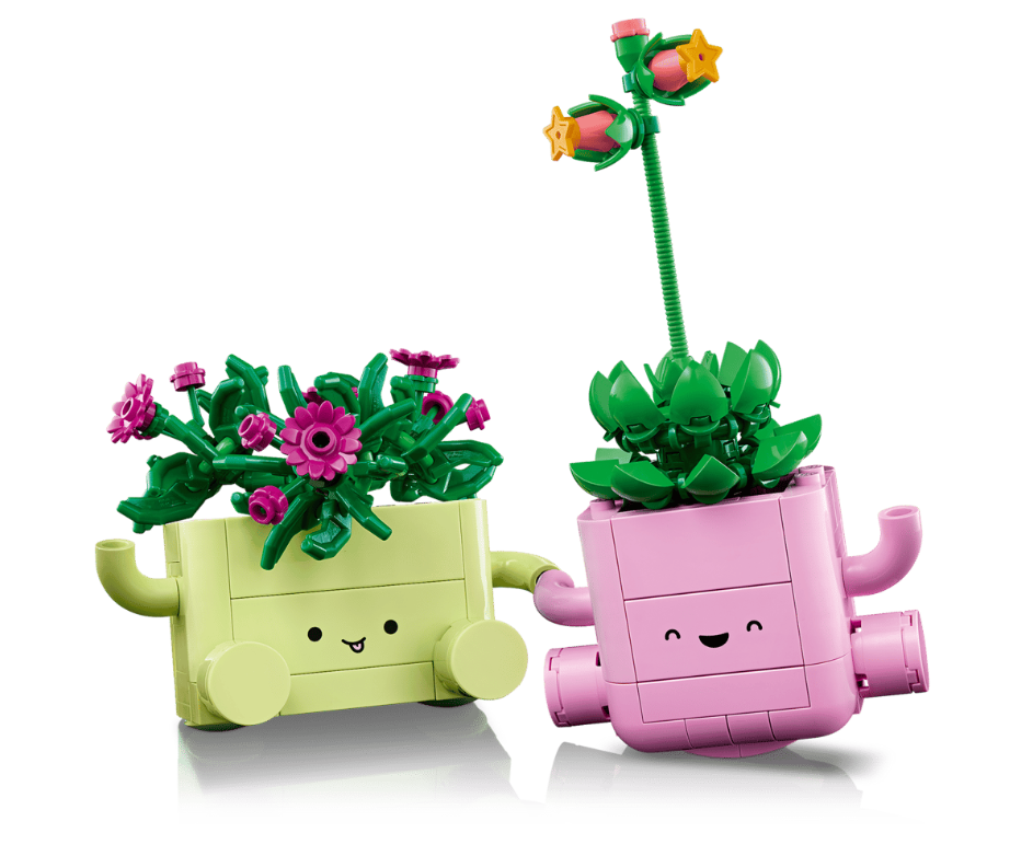 PLANTAS BAILARINAS