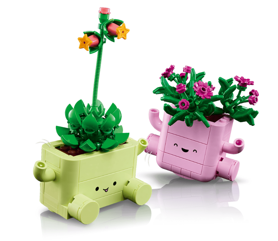 PLANTAS BAILARINAS