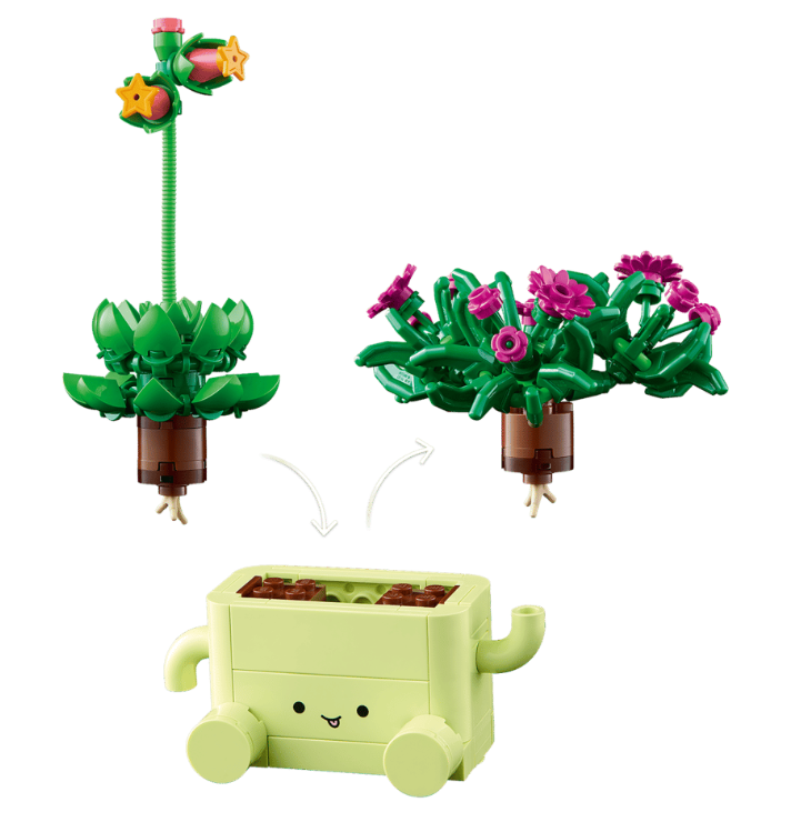 PLANTAS BAILARINAS