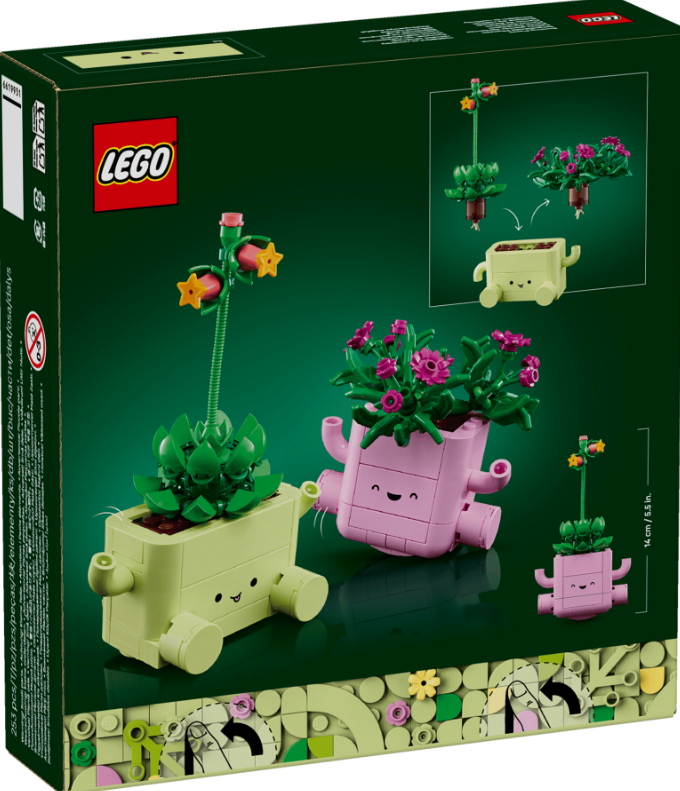 PLANTAS BAILARINAS