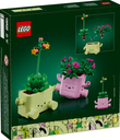 PLANTAS BAILARINAS