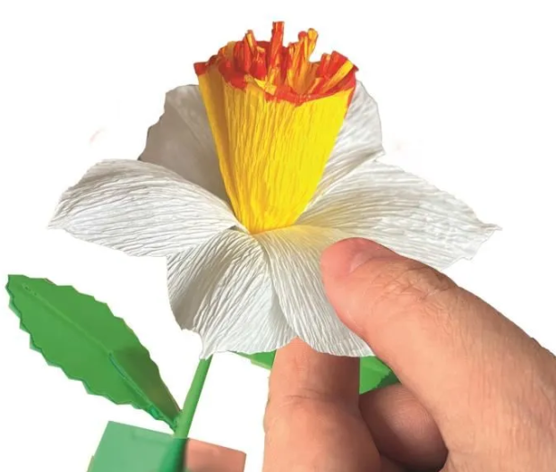 CREA TUS FLORES - NARCISO