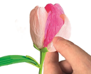 CREA TUS FLORES - TULIPAN