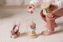 CAJA REGALO MAD. FAIRY GARDEN