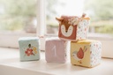 CUBOS BLANDITOS APIL.FAIRY G.