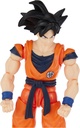 DRAGON BALL EVOLVE SON GOKU