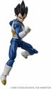 DRAGON BALL EVOLVE VEGETA