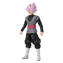 DRAGON BALL EVOVLE ROSÉ GOKU